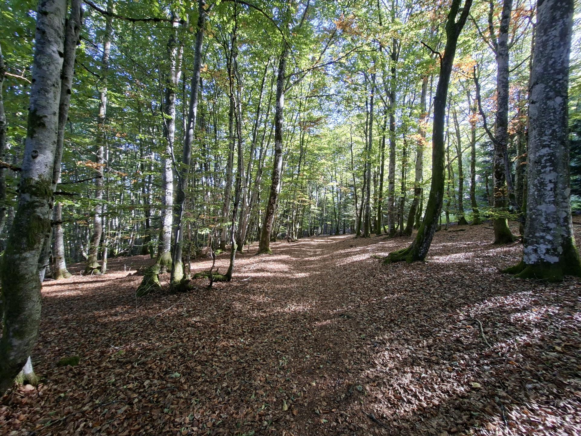 Photo circuit VTT