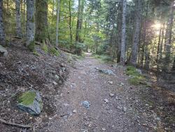 Chemin raide montant vers l'arrivée