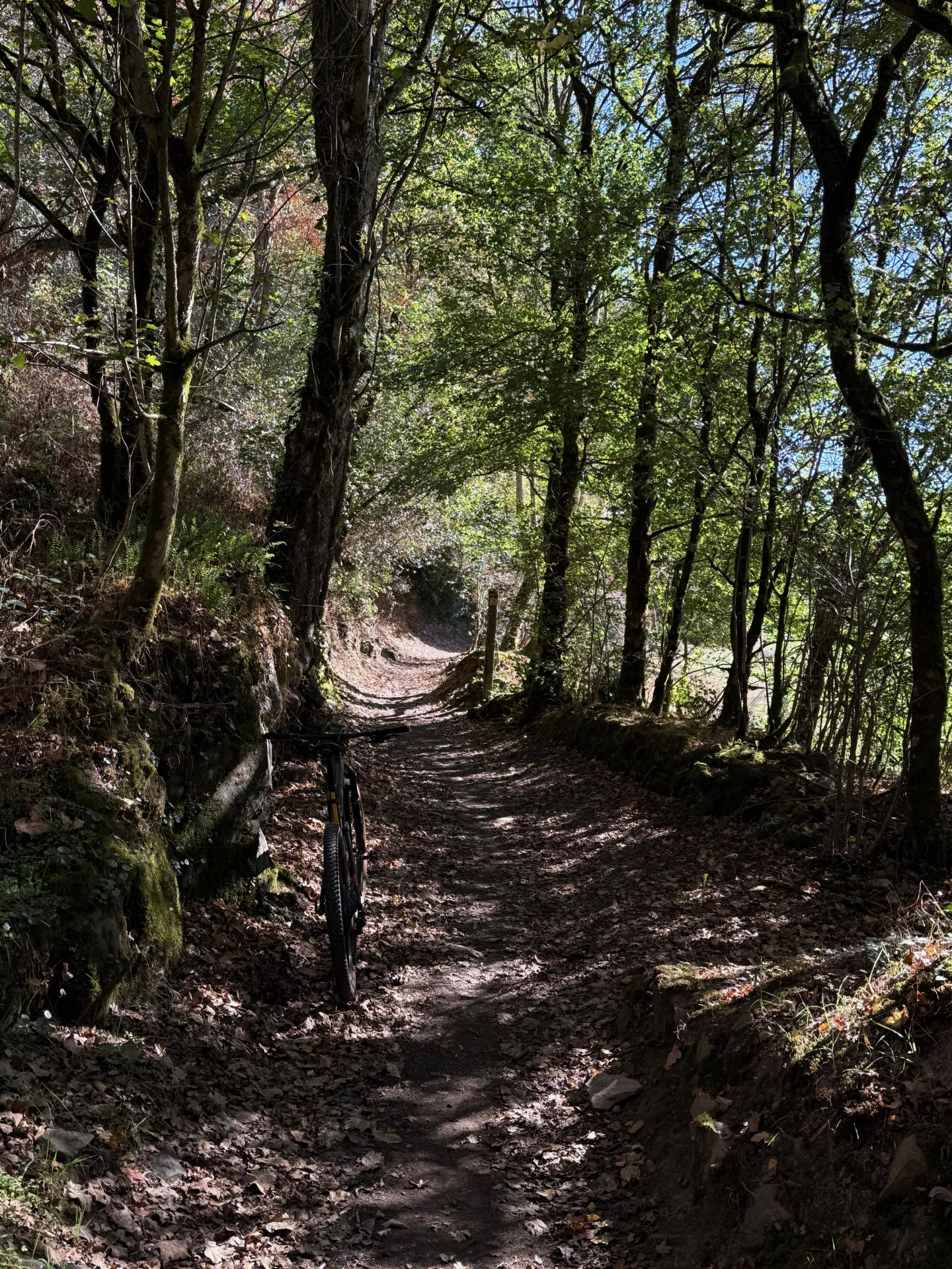 Photo circuit VTT