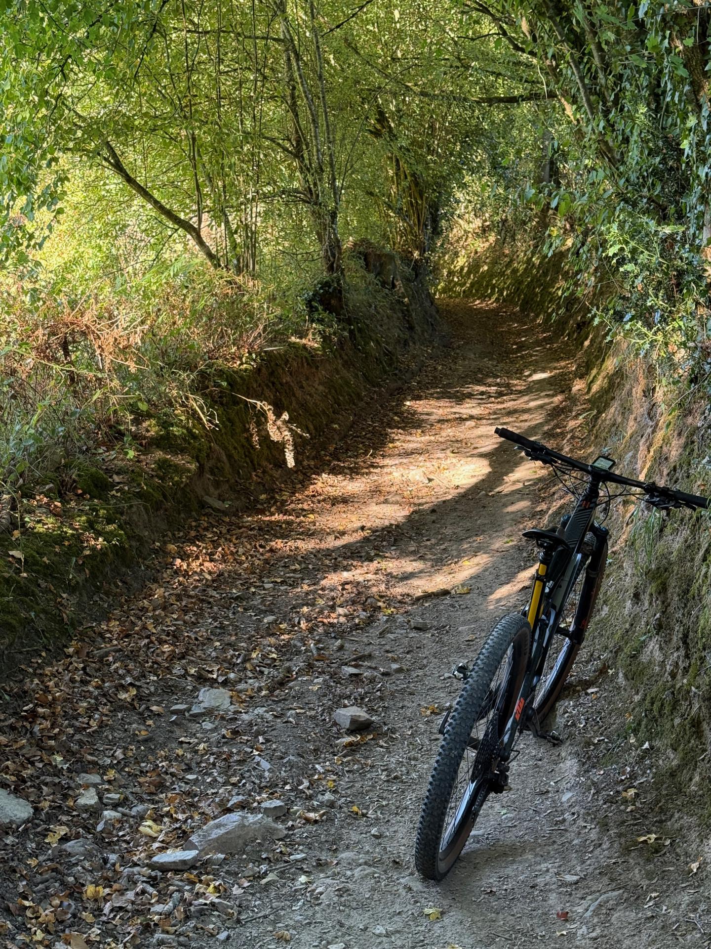 Photo circuit VTT