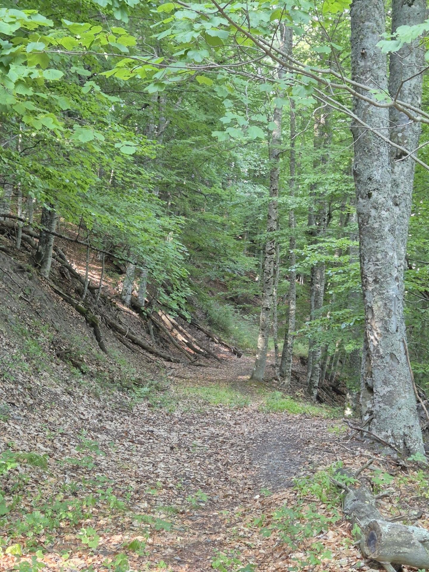 Photo circuit VTT