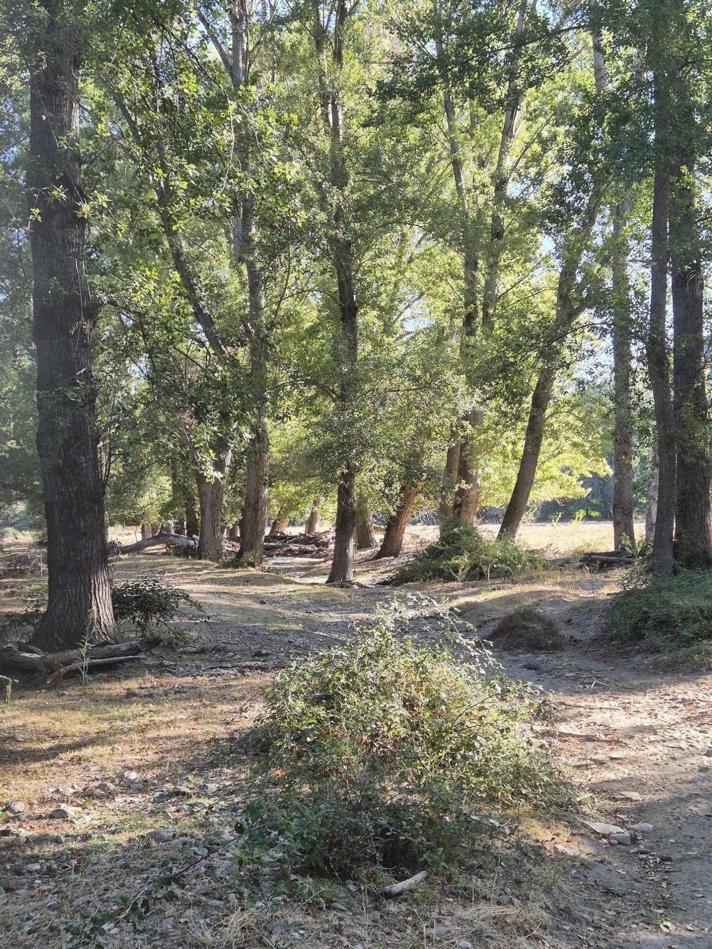 Photo circuit VTT