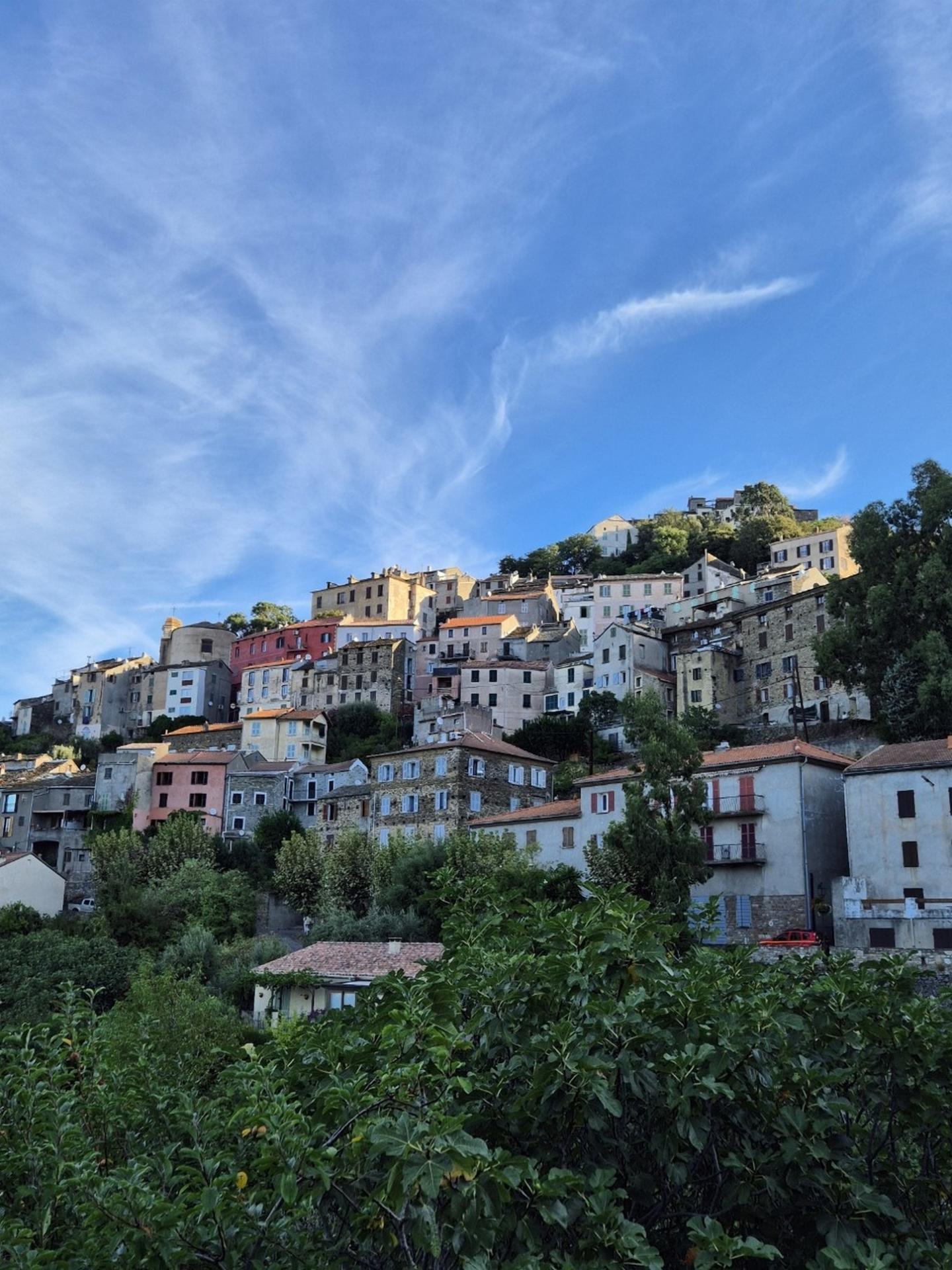 St Florent - Sommet du Pigno