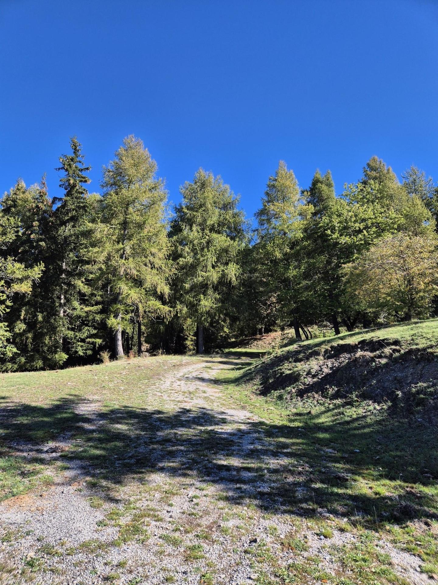 Photo circuit VTT