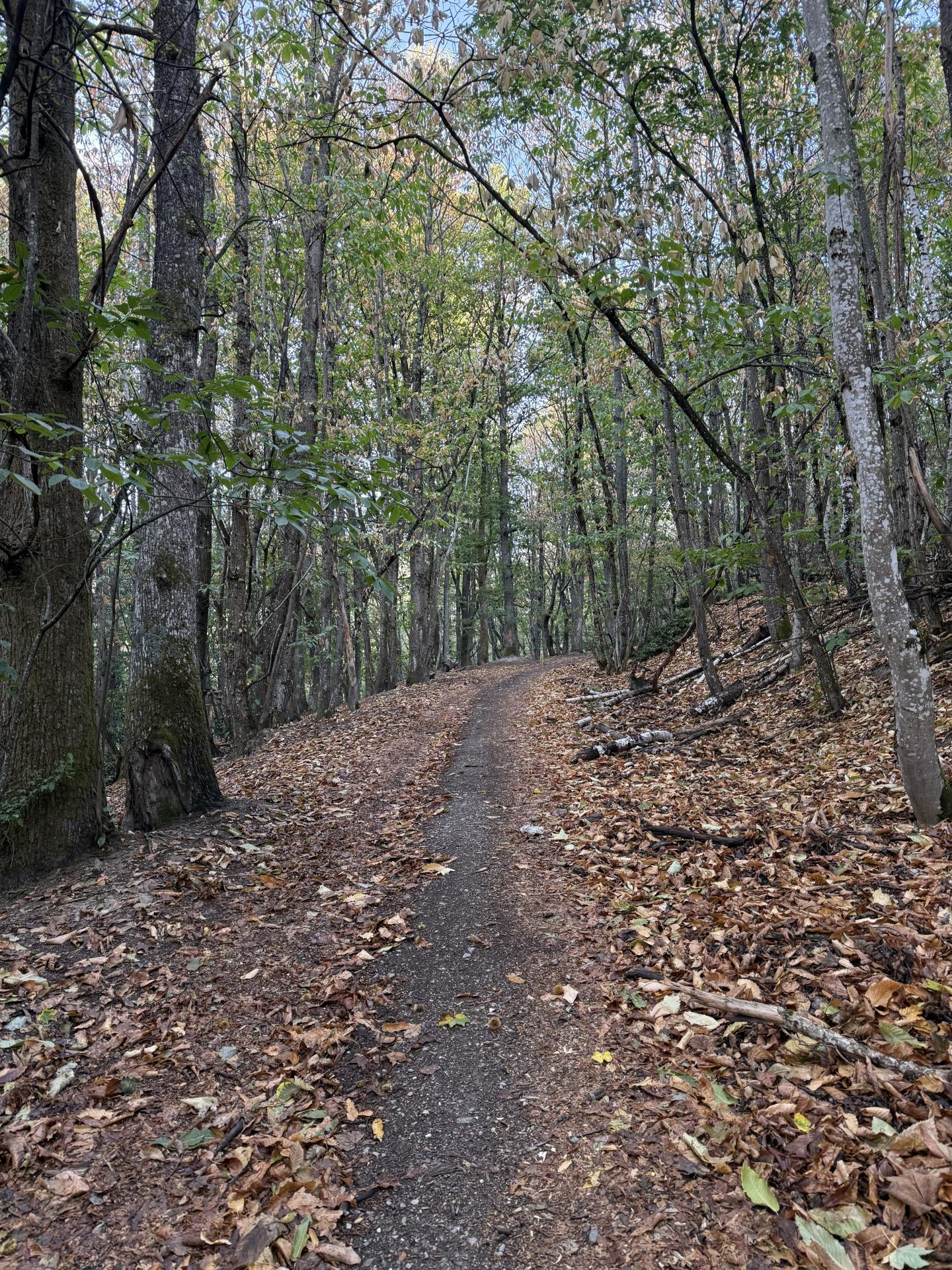 Photo circuit VTT