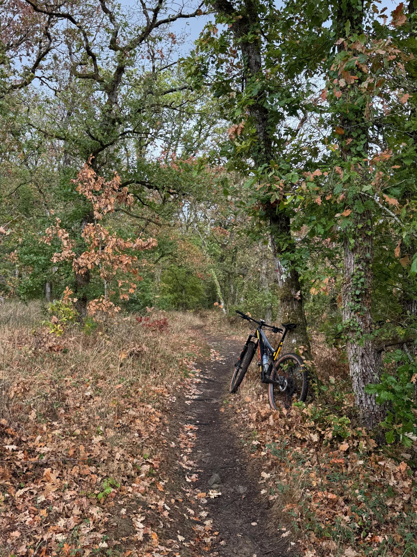 Photo circuit VTT