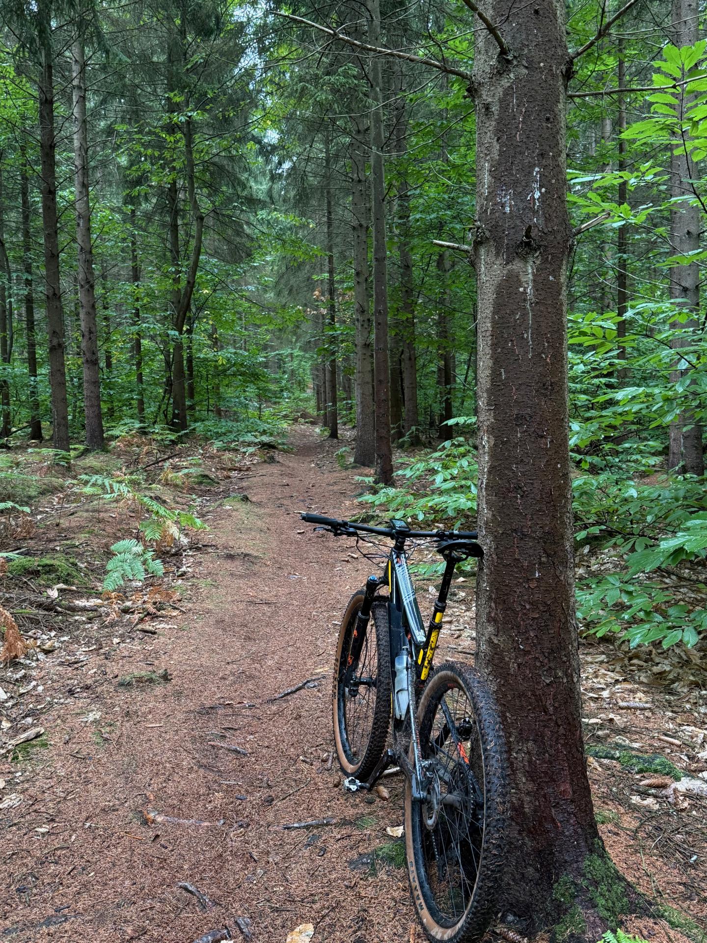 Photo circuit VTT