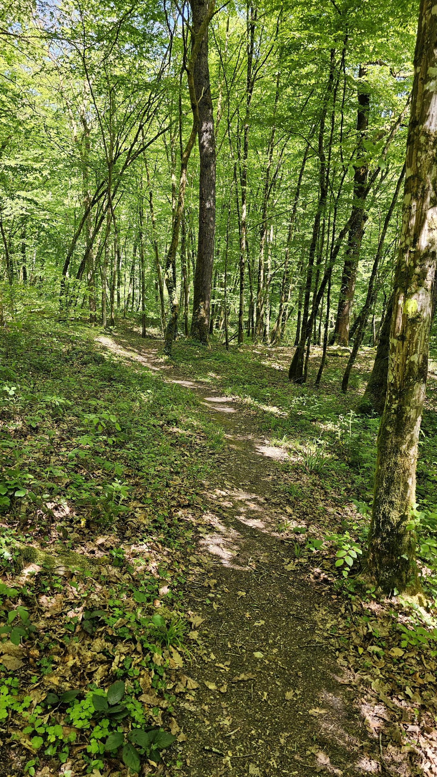Photo circuit VTT