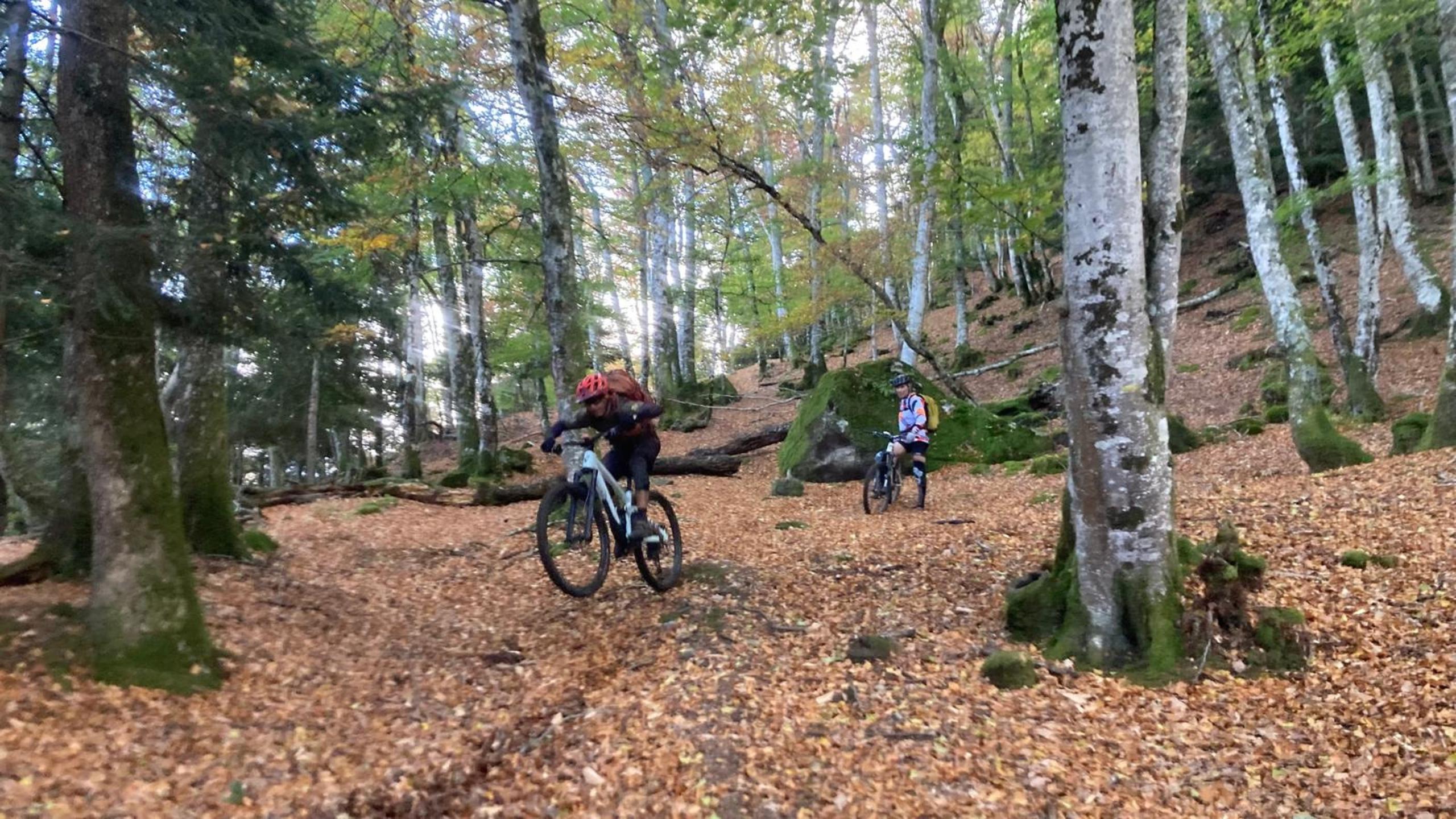 Photo circuit VTT