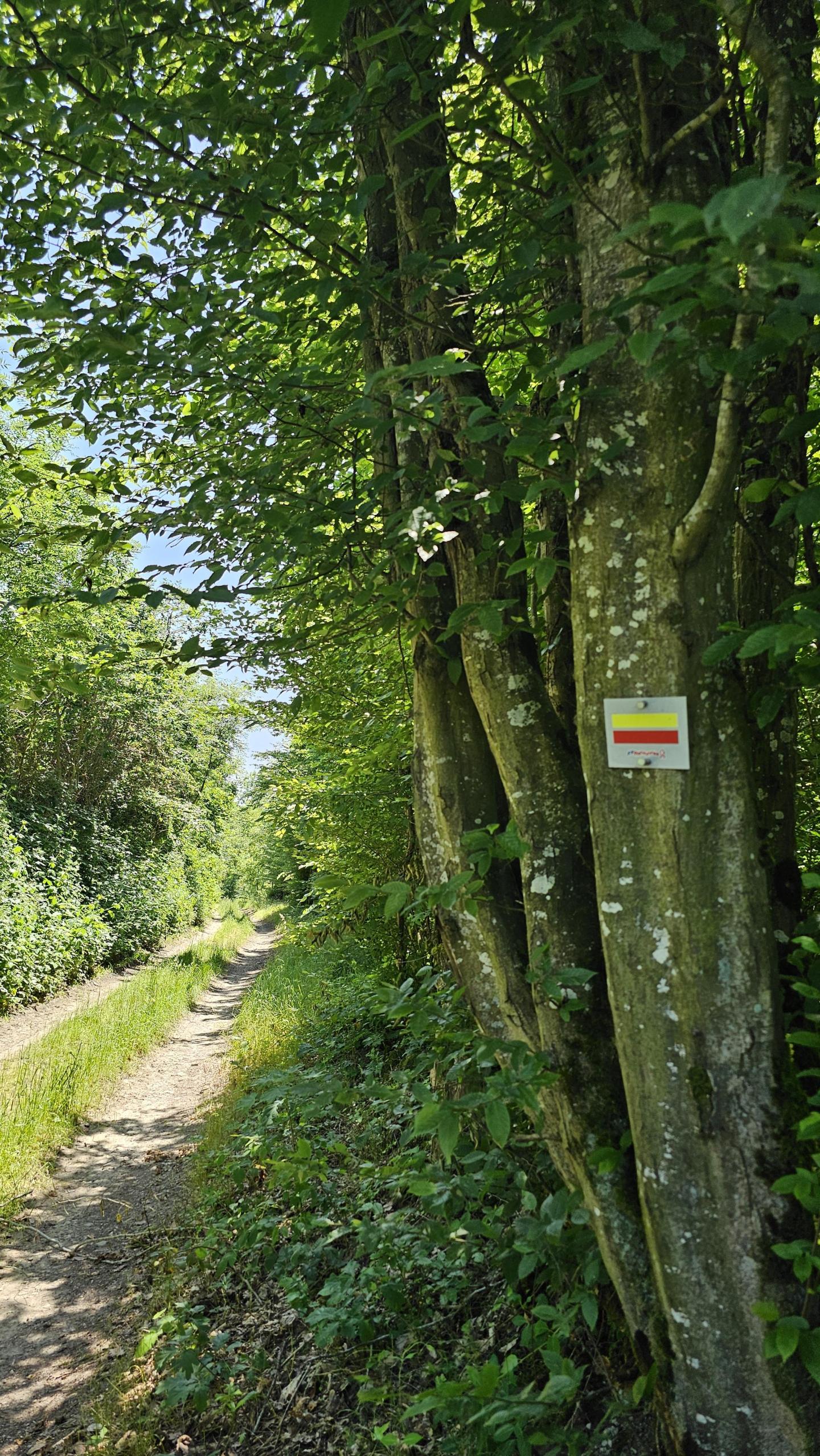 Photo circuit VTT