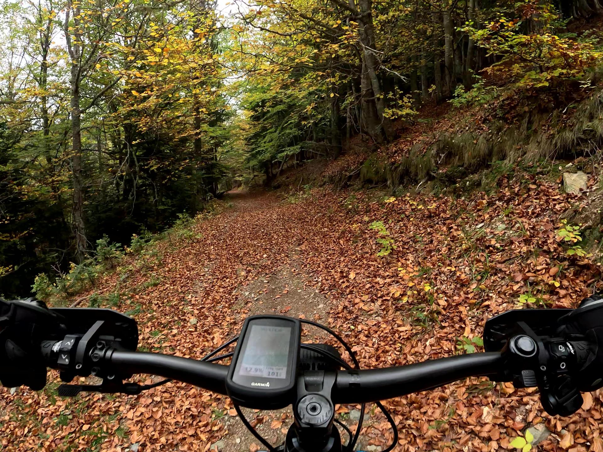 Photo circuit VTT
