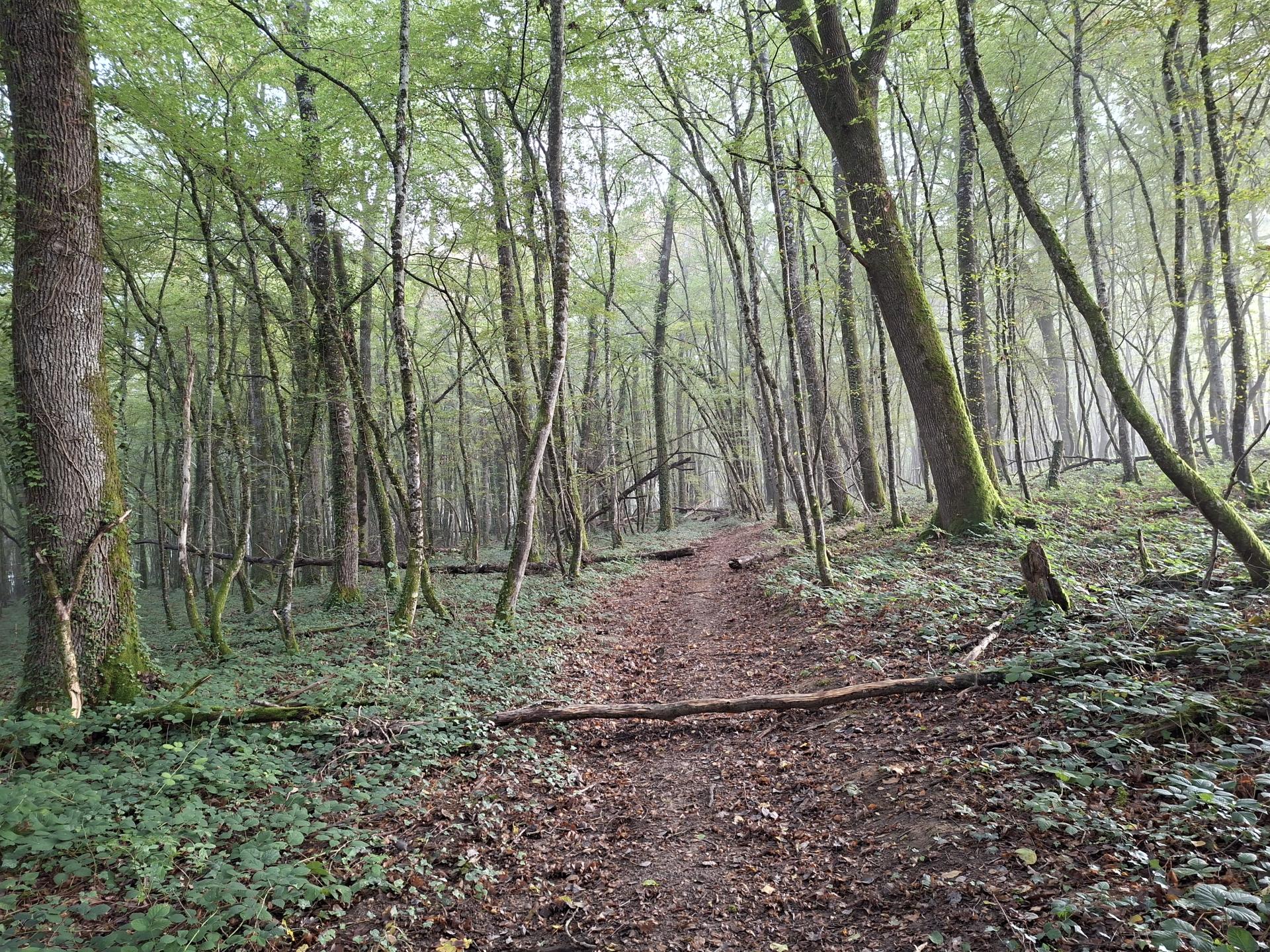 Photo circuit VTT