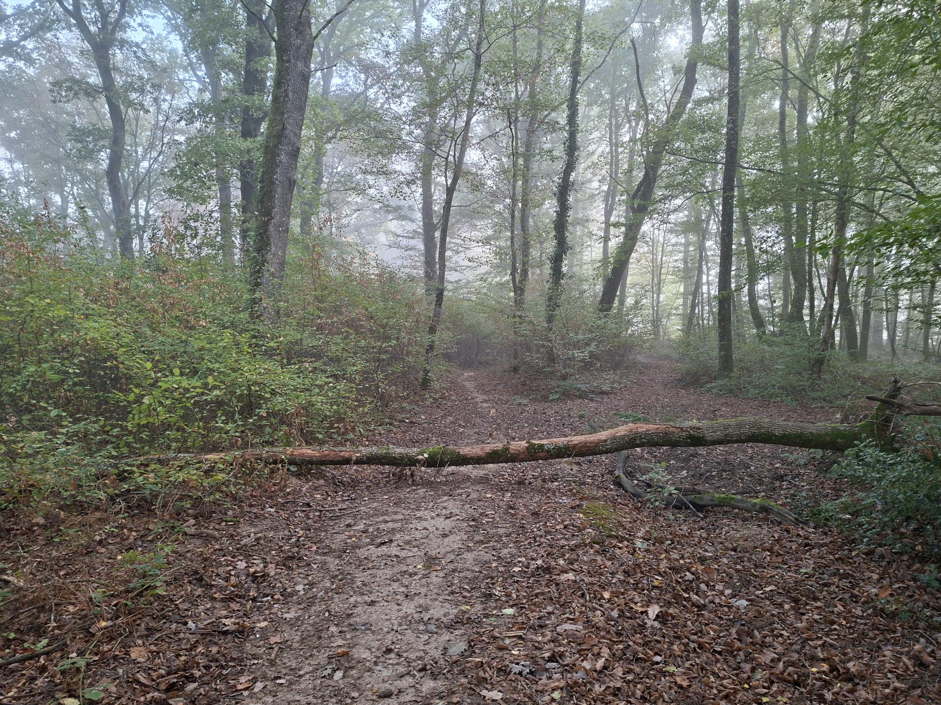 Photo circuit VTT