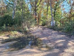 Piste dans le Bois de Perrière