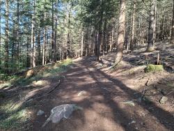 Beaubery, dans le Bois du Mont Botey