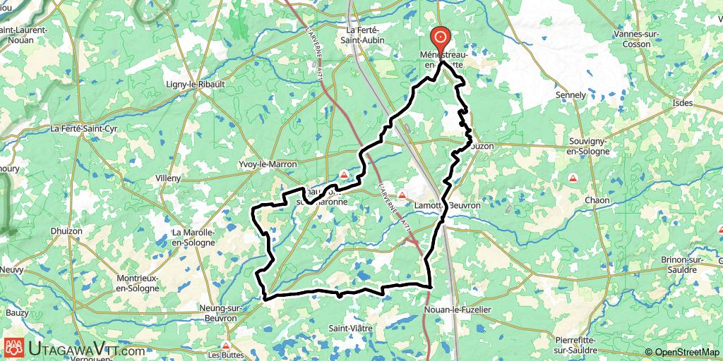 En forêt au sud de Ménestreau-en-Villette