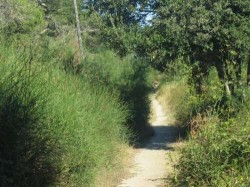 Petite piste 