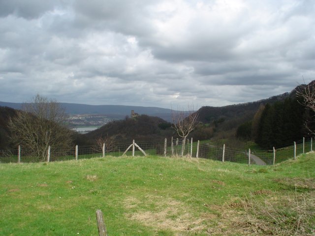 La Bisontine