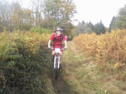 VTT-3654