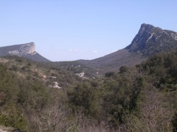 Hortus et Pic Saint Loup