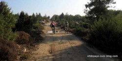 VTT-3679