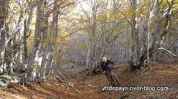 VTT-3688