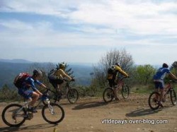 VTT-3695