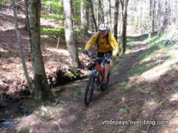 VTT-3696