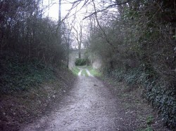 En route vers la ferme de la Carrière l'Évêque