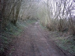 Variante - Montée vers Berzy-le-Sec