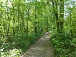 Le chemin à la sortie thonon margencel