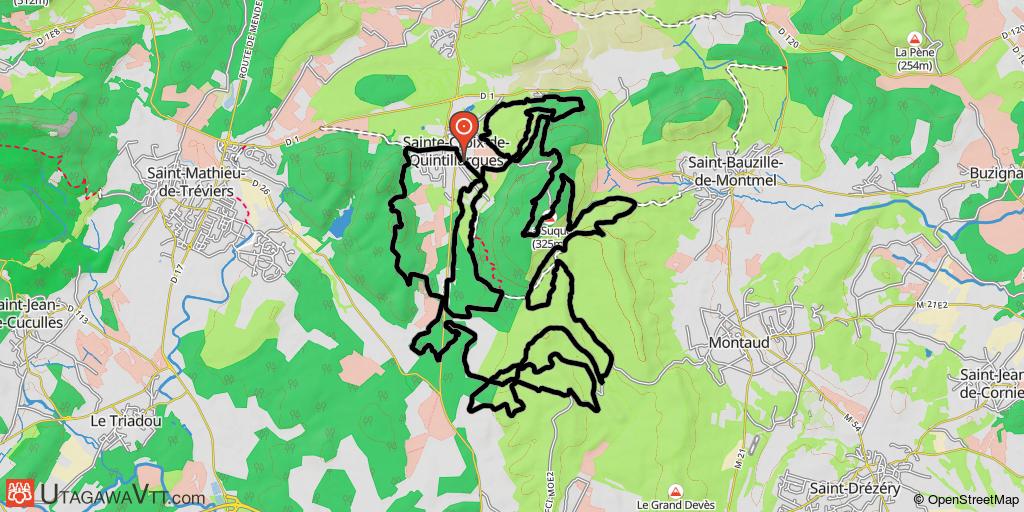 Rando de Quintillus 2011 - 40 km