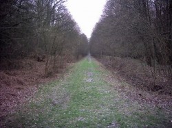 De Pinon à Chauny, des km de ligne droite plate.
