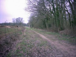 Sur l'ancienne voie ferrée