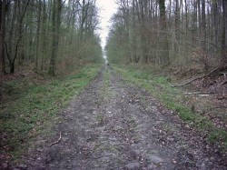 Chemin pavé assez traite.
Il m'a coûté une patte de dérailleur et un rayon.