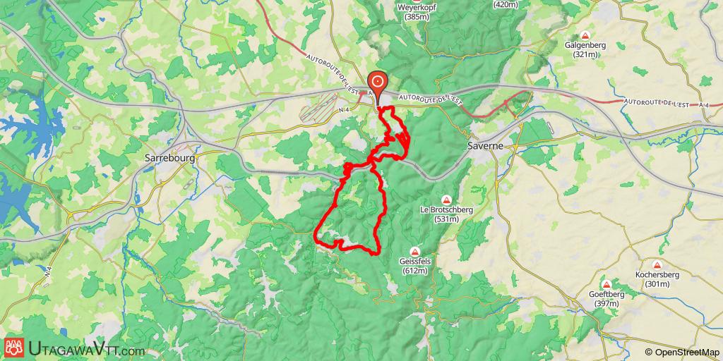Les Mollets Verts de Phalsbourg 2011 - 45 km