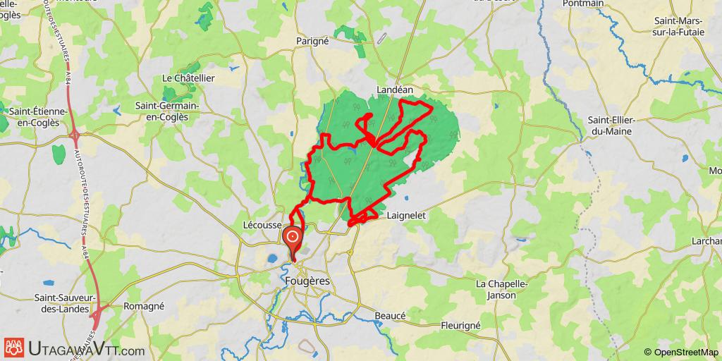 Sortie en forêt de Fougères