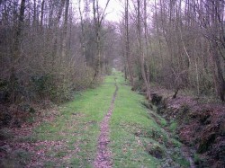 Traversée des marais jusqu'à Urcel.