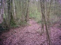 Le départ du chemin est peu tracé, attention à ne pas le manquer.