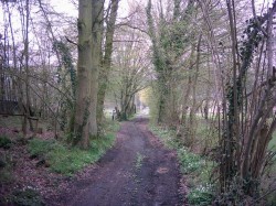 Après quelques km de routes et chemins agricoles pour s'éloigner de Laon, on pénètre dans les premiers sous-bois.