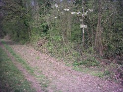 Dernière grosse descente de la boucle.
Là, c'est clair que sans GPS ou carte, ou si on ne connait pas, faut le voir le sentier à droite !