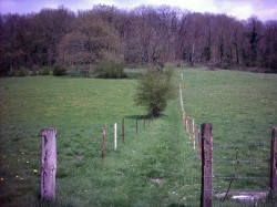 Grimpette très raide, entre barbelés.
L'entrée de la grimpette est ici, après ça devient très dur (pousette obligatoire). Au lieu de tourner à droite ici, on peut continuer le chemin et rejoindre le haut tranquillement en roulant : plus de distance m