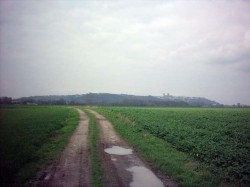 Le plateau de Laon au loin.