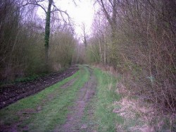 Retour par les marais.