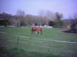 Mignon, non ?