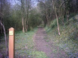 La randonnée proposait la montée par ce chemin très raide en arrivant à Chevregny.
J'ai préféré l'enlever de la trace. Voilà le départ pour celui qui veut s'y lancer (très beau, mais pour moi c'est une poussette de plus) : on grimpe puis 
