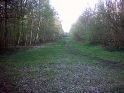 34 - Laon 80 km - dans les marais d'Ardon