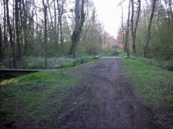 33 - Laon 80 km - dans les marais d'Ardon