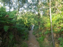 partie de la route de pèlerinage de Saint Jacques de Compostelle