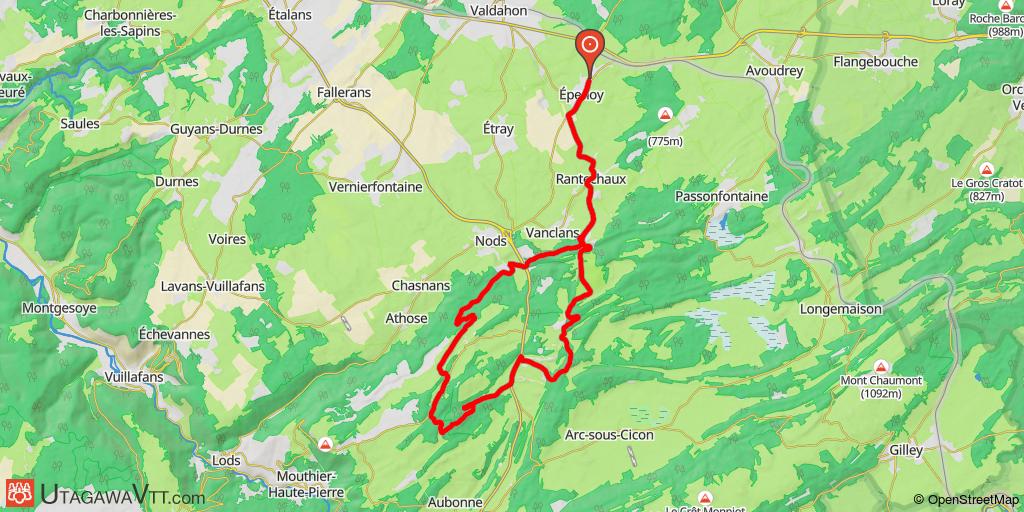 Sur la trace des sangliers.